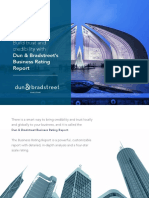 D&B Business Rating Report Brochure