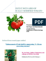 Recent Scenario of Genetically Modified Tomato
