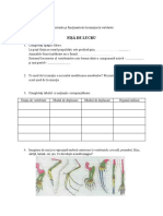 Biologie - Clasa X - Fisa - Lucru - Locomotia - La - Vertebrate