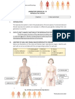 Lab Exercise 19