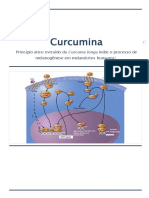 06 COSMETO - Curcumina Melasma - PROF DRA MARALISE PERIGOLO