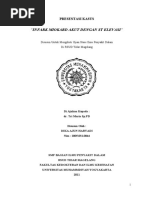 Download STEMIbyDikaAjunHaryadiSN55906037 doc pdf