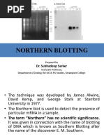 Northern Blotting Ss