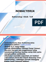 17 Actinobacteria