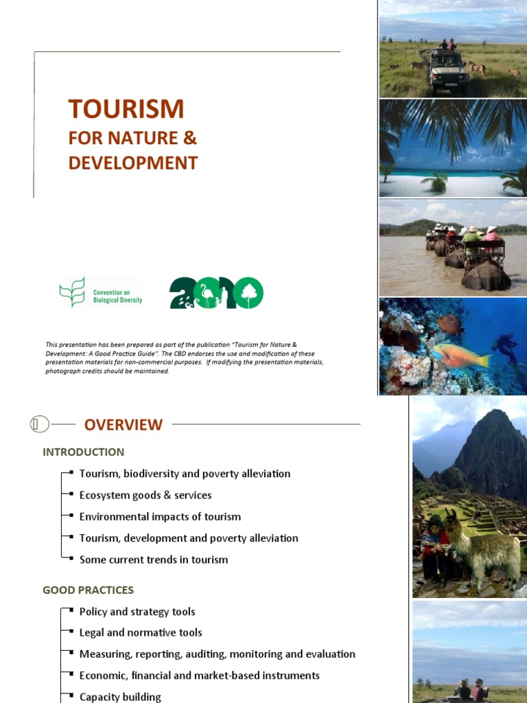 Sustainable Tourism for Development | PDF | Tourism | Sustainability