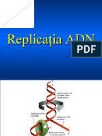 Replica Re A