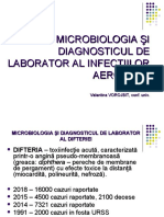 Infectii Aerogene-48522