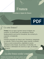 Frunza (Biologie)