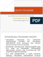 Strazburg Programi