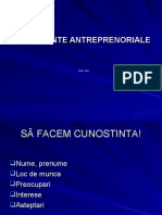 Competente Antreprenoriale