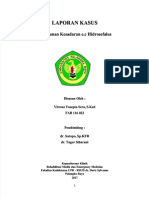 PDF Penurunan Kesadaran Ec Hidrosefalus DD