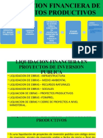 Liquidación financiera de proyectos productivos