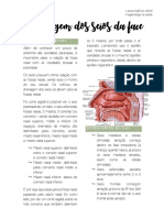 Anatomia e fisiologia dos seios da face