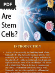 STEM CELL