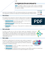 Niveles de Organización de La Materia - Reyes Paulina