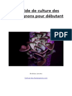Guide-de-culture-des-champignons-du-débutant-2021