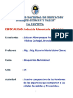 Diferencias organelos células