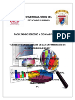 Contaminacion Ambiental Proyecto Terminado