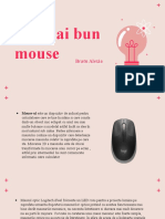 Cel Mai Bun Mouse