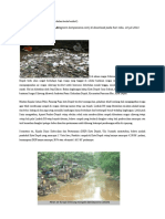 Pada Pukul 17.25 Wib: Sungai Ciliwung Tercemar Limbah B3 (