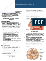 Anatomia Dos Nervos Cranianos