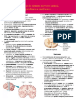 Histologia Do Sistema Nervoso Central, Periférico e Autonomo