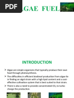 Download Ppt on Algae Fuel by Kritika Joshi SN55912705 doc pdf