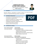 Curriculum Vitae