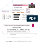 asentamientos mapa