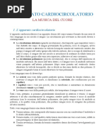Di Nino Alessia, VA, l'Apparato Cardiocircolatorio