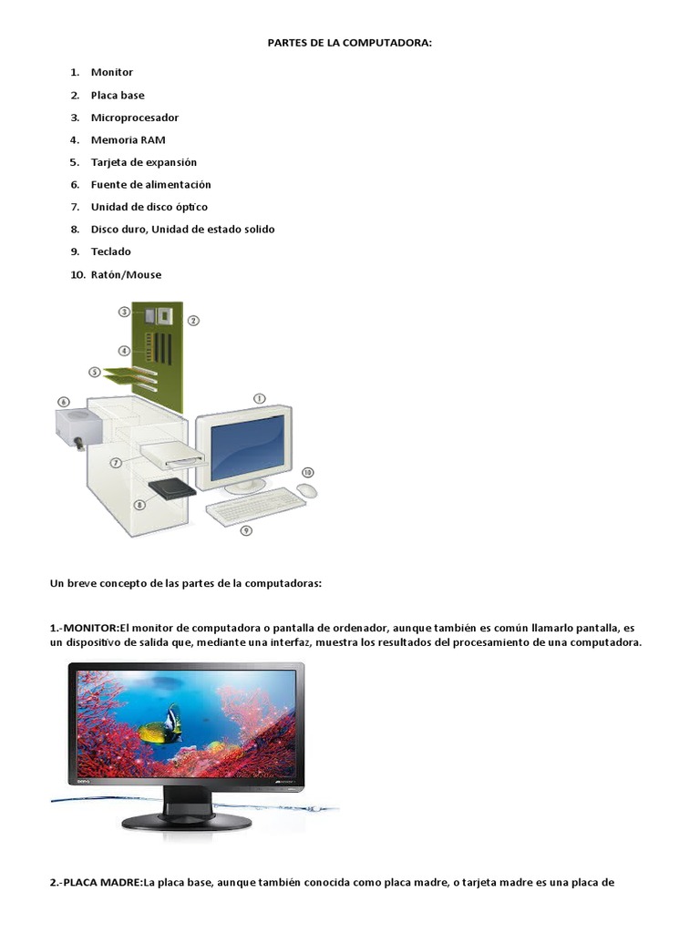 Partes esenciales de una computadora | PDF | Hardware de la computadora ...