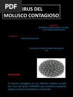 Download Virus de Molusco Contagioso by Jessica Victoria Hernandez Peinado SN55914805 doc pdf