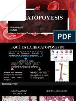 HEMATOPOYESIS