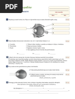 Test Aparat Ruchu | PDF