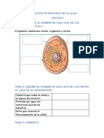 Evaluación biología celular 4to grado