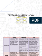 Proteínas, carbohidratos y lípidos: biomoléculas clave