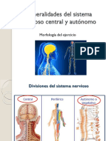 Generalidades Del Sistema Nervioso Central y Autónomo