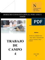 Trabajo de Campo 4 Consti