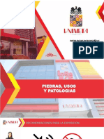 PDF Piedras y Patologia DL