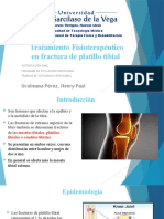 Tratamiento Fisioterapéutico en Fractura de Platillo Tibial