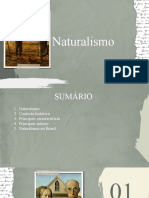 O Naturalismo e suas principais características