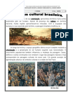 tarefa paisagens brasileiras .