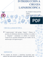 Introduccion A Cirugia Laparoscopica