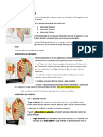 MUSCULOS Torácicos Anteriores