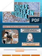 Tecnicas Especiales en Patologia Ues 22