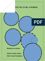 Fichas anfibios Colombia