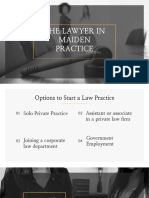 Chapter II (the Lawyer in Maiden Practice) (1)
