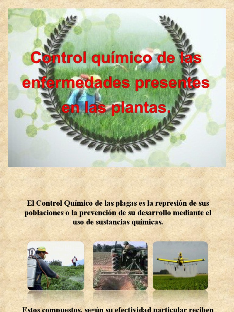 Agroquimicos Pdf Plaga Organismo Ciencia Medioambiental