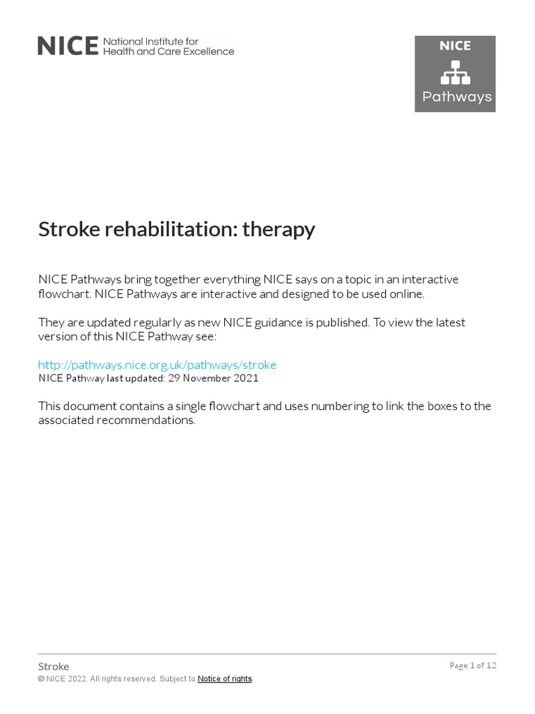 Stroke Rehabilitation Therapy Stroke Rehabilitation Therapy PDF