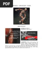 Download Human Muscles  Pain by Saninan Mat SN55925867 doc pdf